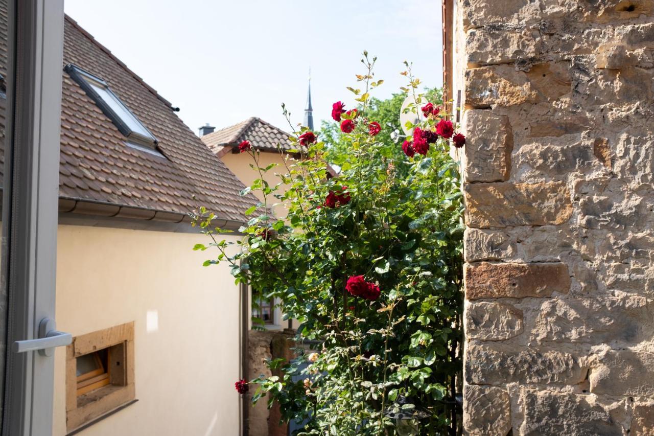 Klimatisiertes Loft Im Herzen Von Deidesheim Εξωτερικό φωτογραφία